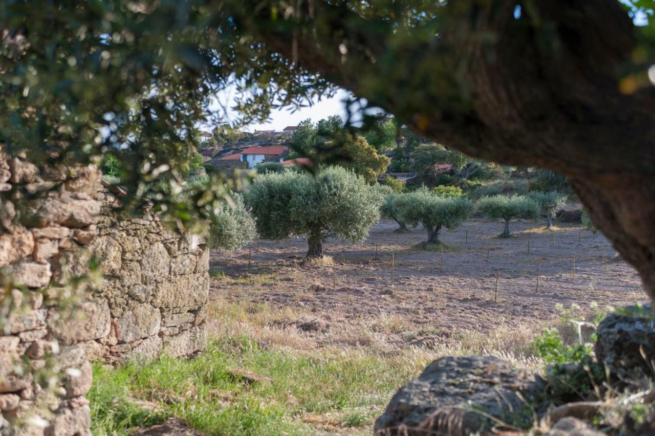 Cidadelhe Rupestre Turismo Rural Esterno foto